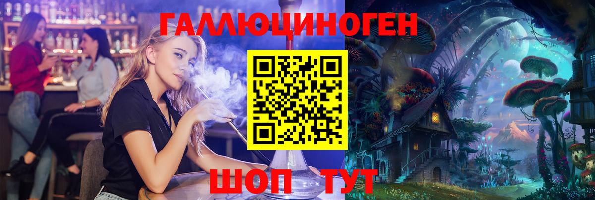 Псилоцибиновые грибы Psilocybe Клинцы