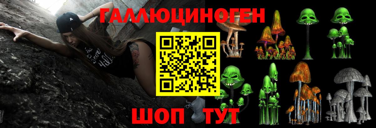 Псилоцибиновые грибы Psilocybe  Псилоцибиновые грибы Magic Shrooms  Клинцы  Вход с VPN 